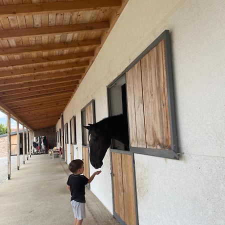 House Of Horses Shtepia E Kuajve Hotel Korce Bagian luar foto