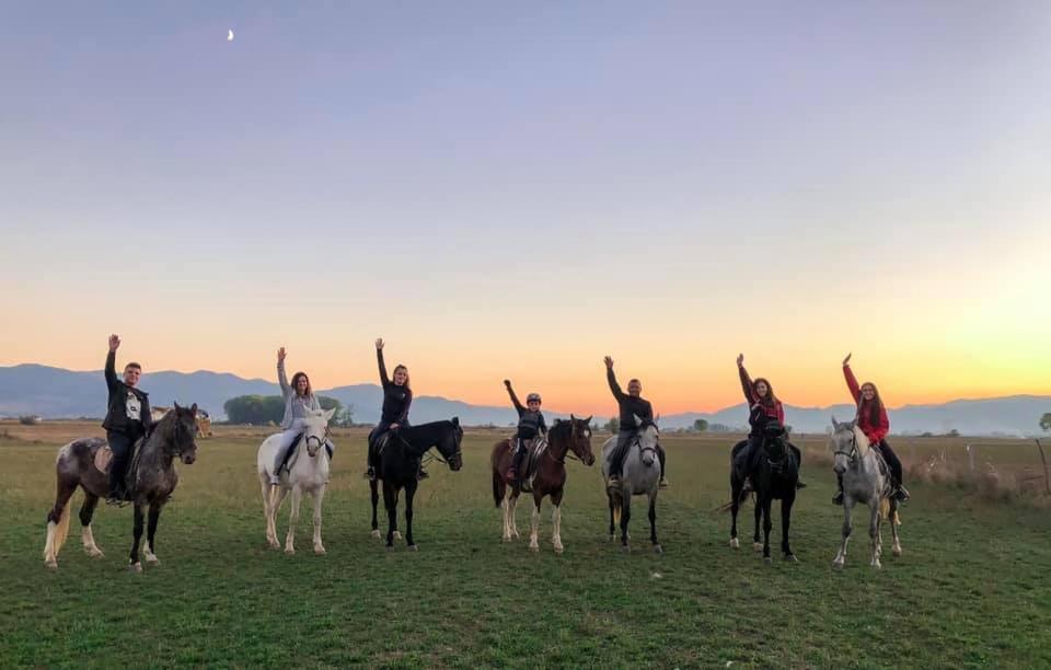 House Of Horses Shtepia E Kuajve Hotel Korce Bagian luar foto