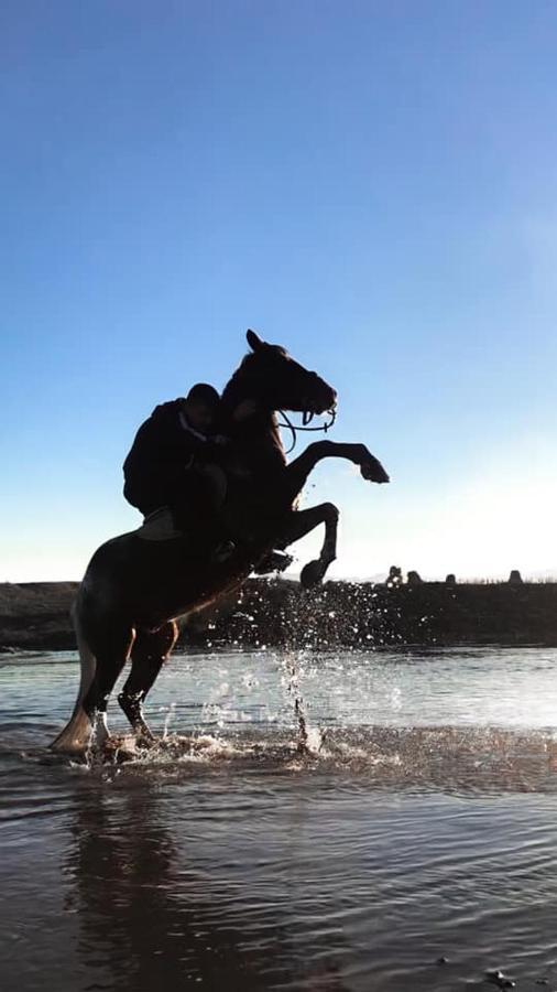 House Of Horses Shtepia E Kuajve Hotel Korce Bagian luar foto