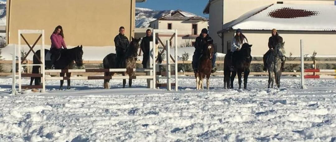 House Of Horses Shtepia E Kuajve Hotel Korce Bagian luar foto