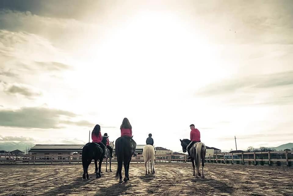 House Of Horses Shtepia E Kuajve Hotel Korce Bagian luar foto