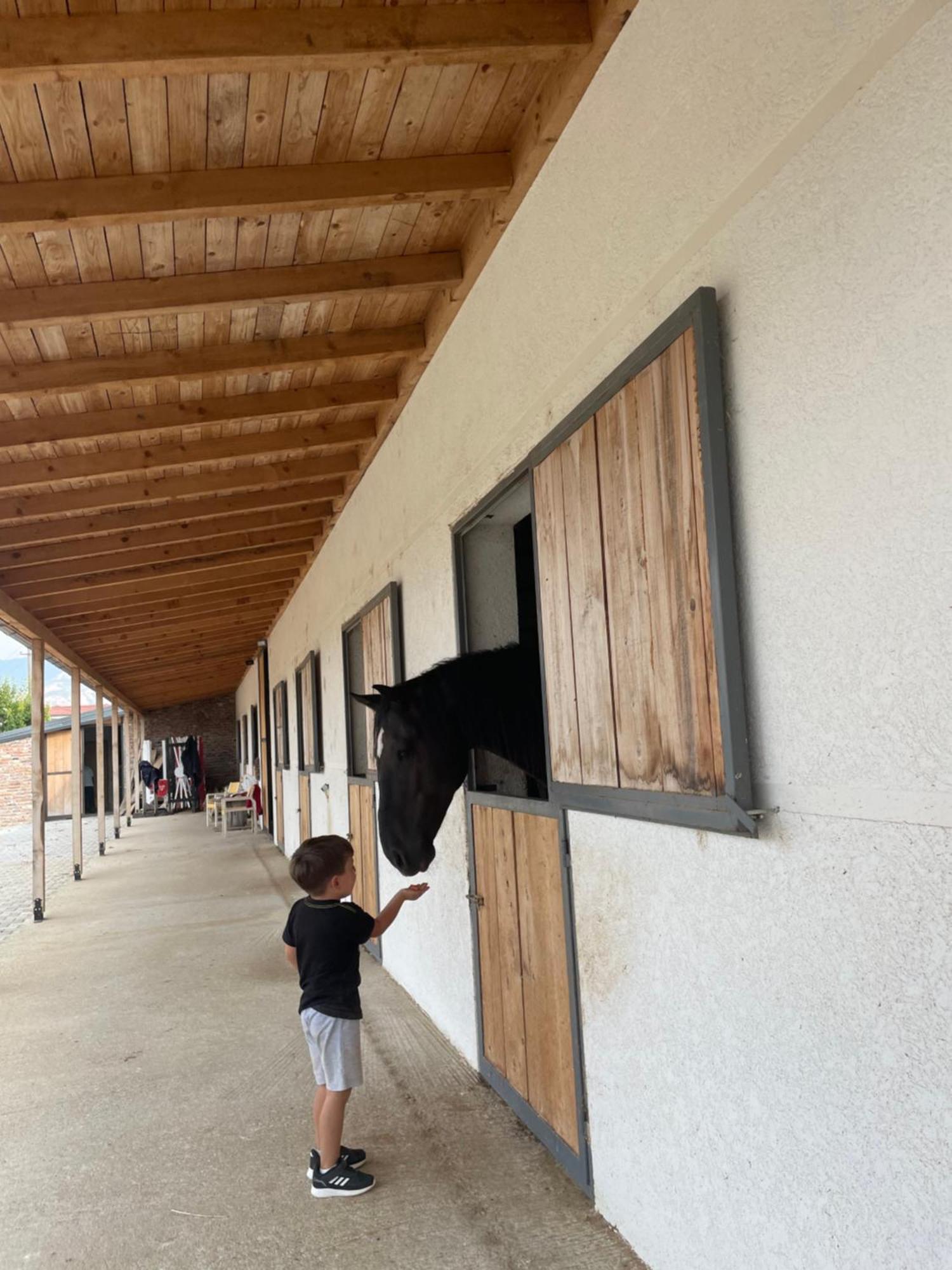 House Of Horses Shtepia E Kuajve Hotel Korce Bagian luar foto